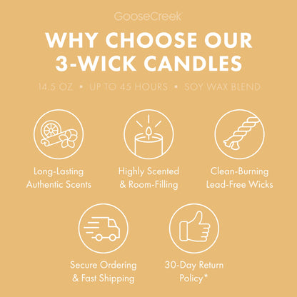 Orange Cream Sherbet 3-Wick Candle